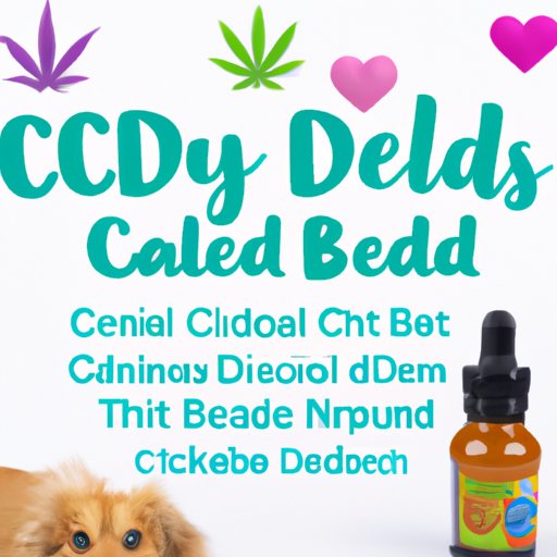 Can Dogs Have CBD Edibles? A guide on the Benefits, Risks, and Recommendations