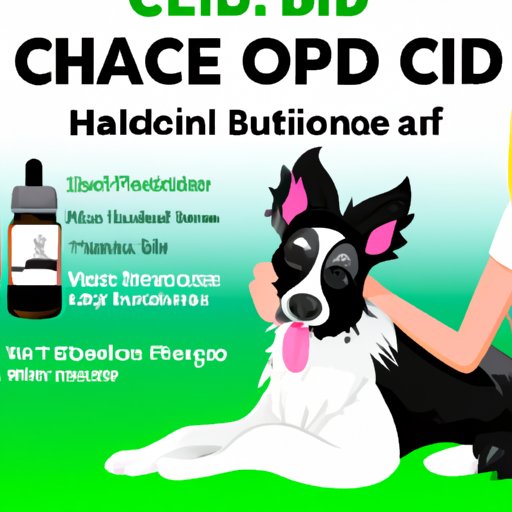 Can Dogs Have CBD for Humans? Understanding the Benefits and Safety