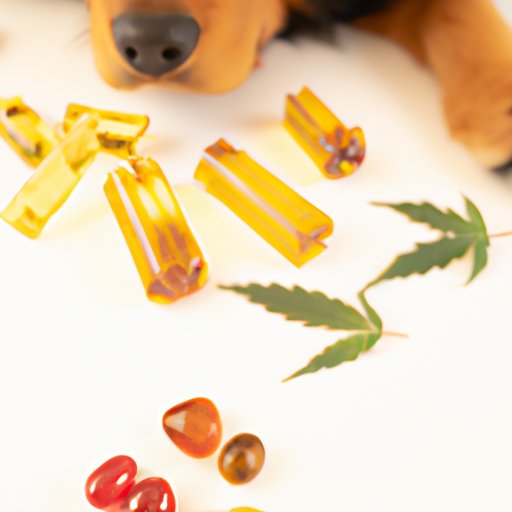 Can Dogs Have CBD Gummies for Anxiety? Exploring the Benefits and Safety