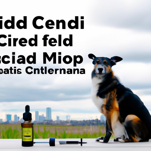 The Comprehensive Guide to Using CBD Oil for Dogs