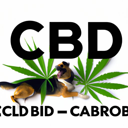 Can Dogs Have CBD: The Pros, Cons, and Safety
