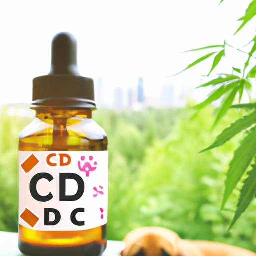 Can Dogs Take CBD Oil? A Comprehensive Guide to Benefits and Risks