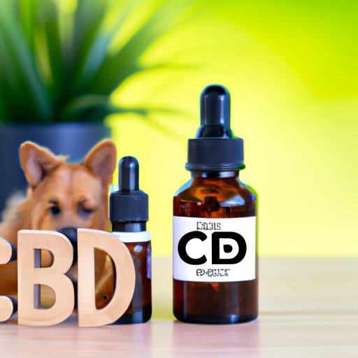 Can Humans Take CBD Oil for Dogs: Benefits, Risks, and Everything Else You Need to Know