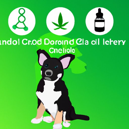 Can Humans Take Dog CBD Oil? Exploring the Benefits and Risks