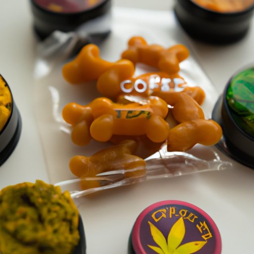 Can I Give My Dog CBD Gummies for Humans? What You Need to Know