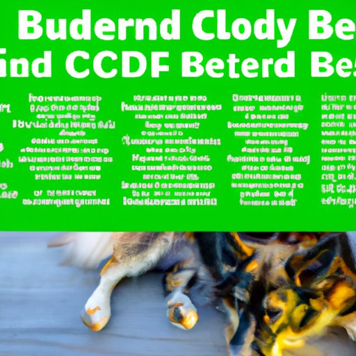 Can I Give My Dog CBD Oil and Phenobarbital? Understanding the Risks and Benefits for Canine Seizure Treatment