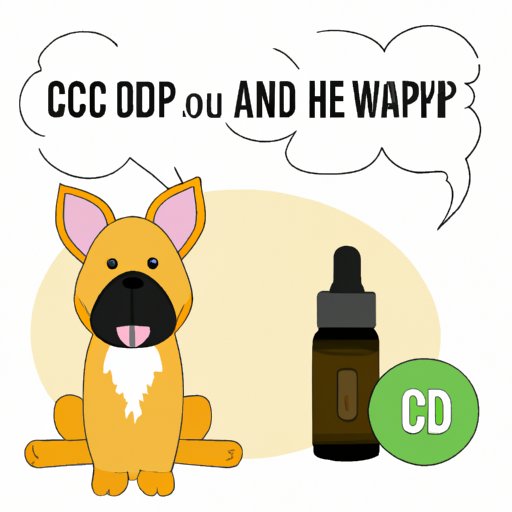 Can I Give My Dog CBD? A Comprehensive Guide to CBD Use in Dogs