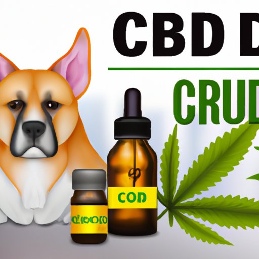 Can My Dog Overdose on CBD? What Every Pet Owner Needs to Know