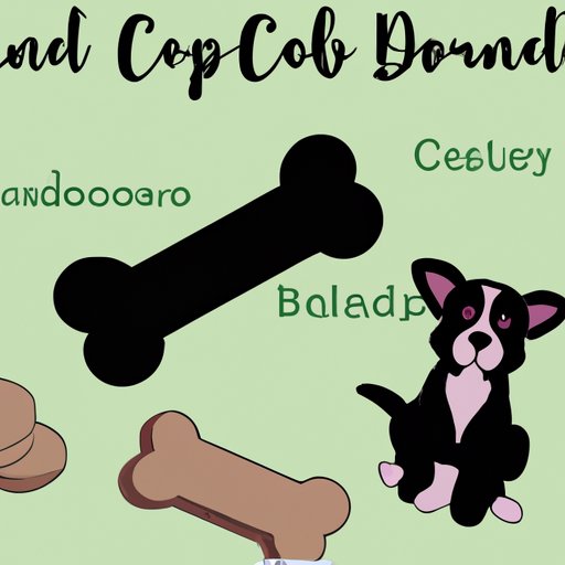Can Puppies Have CBD Treats? A Guide to Introducing Cannabidiol into Your Puppy’s Diet