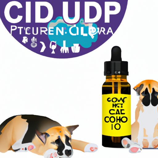 The Ultimate Guide to CBD Oil for Puppies: Dosage, Benefits, and Safety Concerns