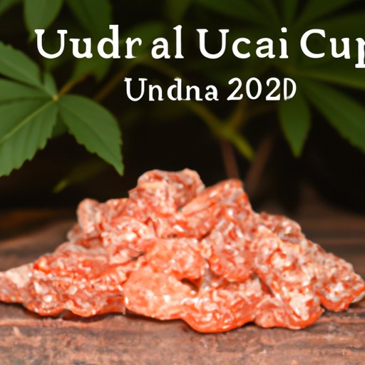 The Ultimate Guide to Utopia CBD Gummies: Benefits, Usage, and Dosage