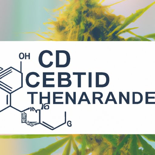Can You Build Up a Tolerance to CBD? Understanding the Science Behind It