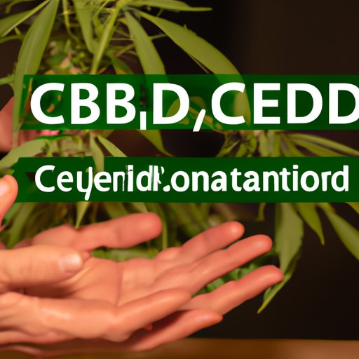 Can You Feel CBD? Exploring the Science and Personal Experience