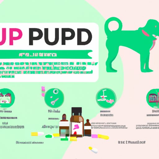 Can You Give a Puppy CBD? Exploring the Potential Benefits and Risks