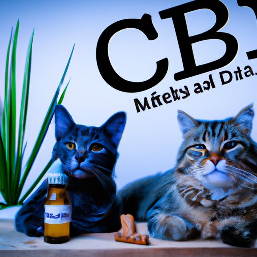 Can You Give Cats CBD?