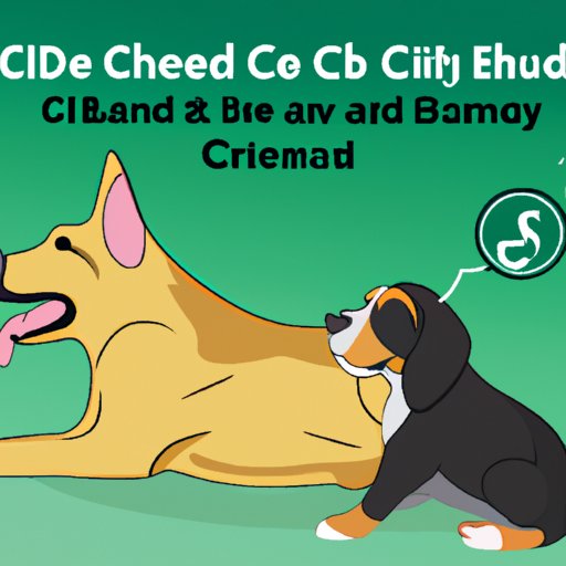 Can You Give Dogs CBD Oil Made for Humans? A Comprehensive Guide