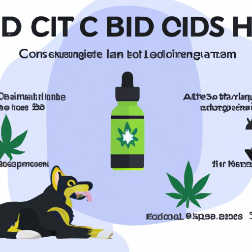 Can You Give Dogs Human CBD? A Comprehensive Guide to CBD Oil for Dogs