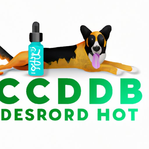 Can You Give Too Much CBD to a Dog? Understanding Proper Dosing and Risks
