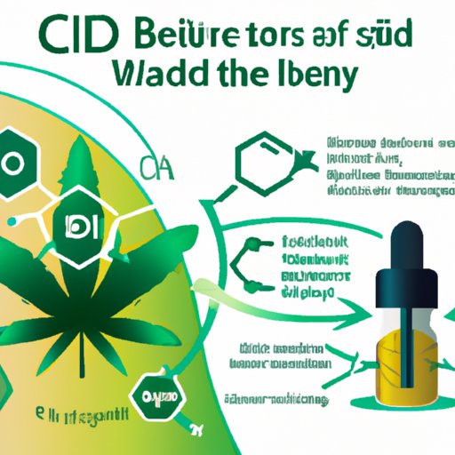 Can You Ingest CBD Oil? Benefits, Risks, and Expert Tips for Maximum Results