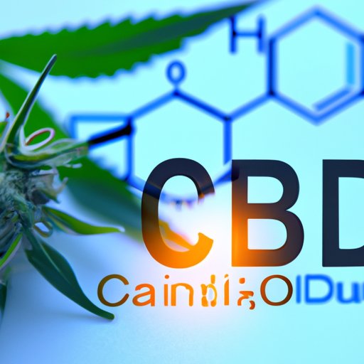Can You Use CBD Everyday? Exploring the Benefits, Science, Dosages, and Side Effects