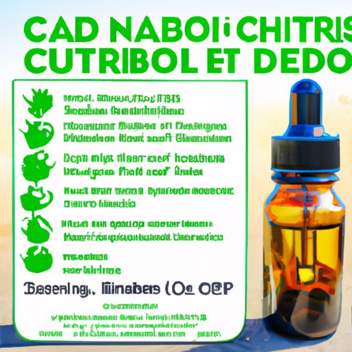 Do Vets Recommend CBD Oil for Dogs? What You Need to Know