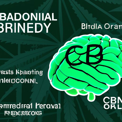 Does CBD Affect the Brain? Exploring the Science and Myths Behind CBD’s Impact on Brain Function