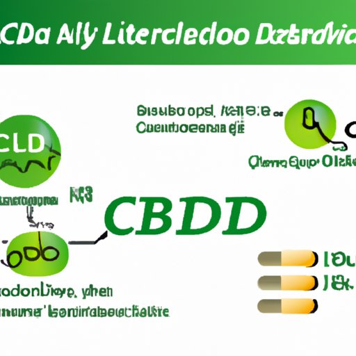 The Relationship Between CBD and Triglycerides: An In-Depth Analysis