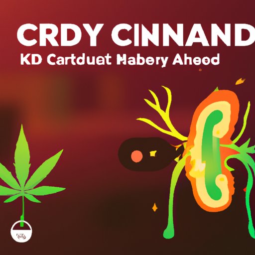 Does CBD Affect Your Kidneys? Exploring the Science and Controversy