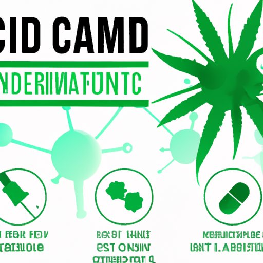 Does CBD Boost Immune System? Understanding the Science and Benefits