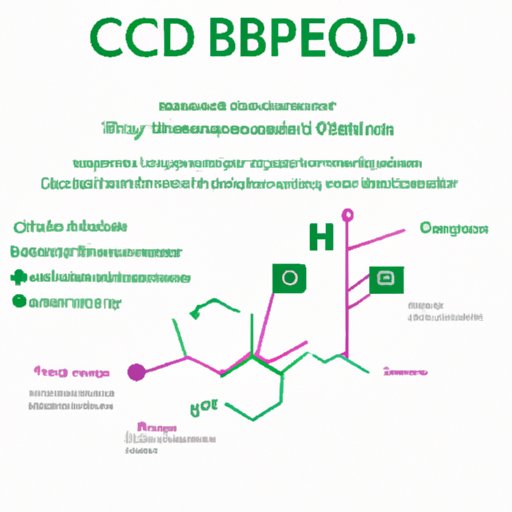 Does CBD Build Up in Your System: Exploring the Science and Implications of Build-Up