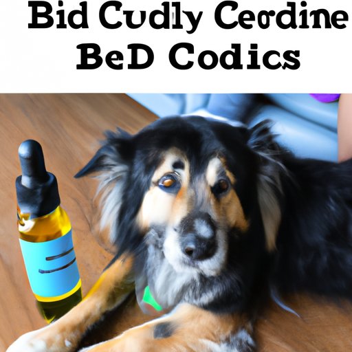 Does CBD Calm Down Dogs? Understanding the Science and Benefits of Using CBD Oil
