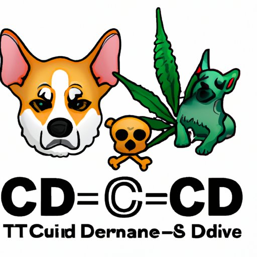 Does CBD Counteract THC in Dogs? An In-Depth Look