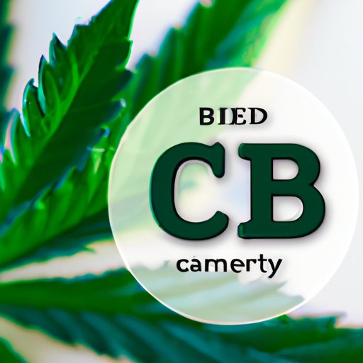 The Risks and Benefits of using CBD Cream with Medications