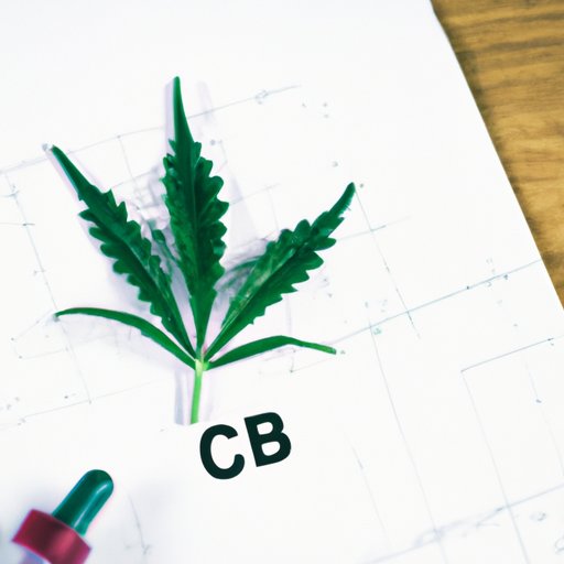 Does CBD Fail Drug Test? Clearing the Air on Misconceptions and Finding Peace of Mind