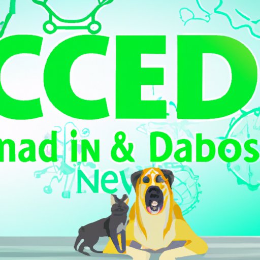 Can CBD Help Aggressive Dogs? Exploring the Benefits of CBD Oil