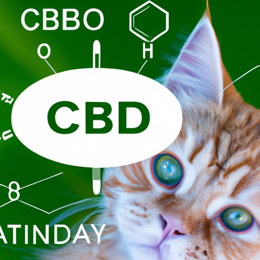 Does CBD Help Cats with Anxiety? A Comprehensive Guide to Using CBD Oil for Cat Anxiety