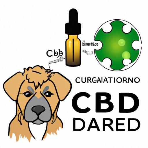 The Comprehensive Guide: Does CBD Help Dogs with Seizures?