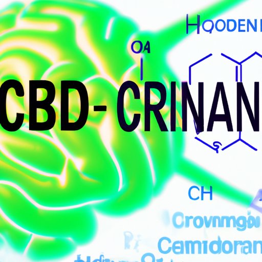 Does CBD Improve Brain Function? Exploring the Potential Benefits of Cannabidiol