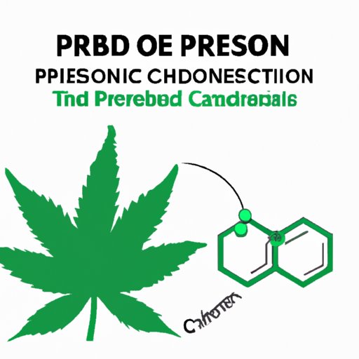 Does CBD Interact with Prednisone? A Comprehensive Guide