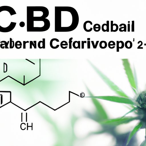 Does CBD Interfere with Antibiotics?