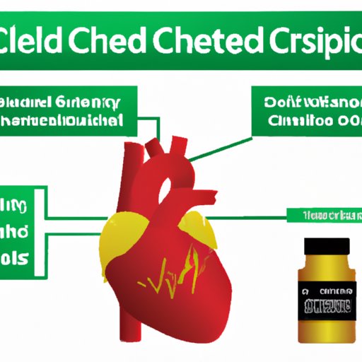 The Truth About CBD and Cholesterol: Can CBD Really Help Lower Cholesterol Levels?