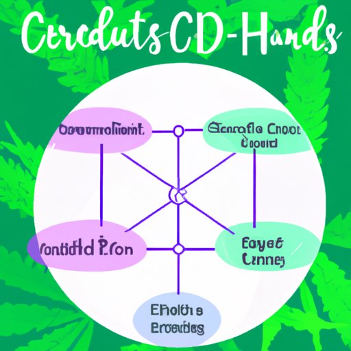 Can CBD Lower Cortisol Levels? A Comprehensive Look at Recent Studies