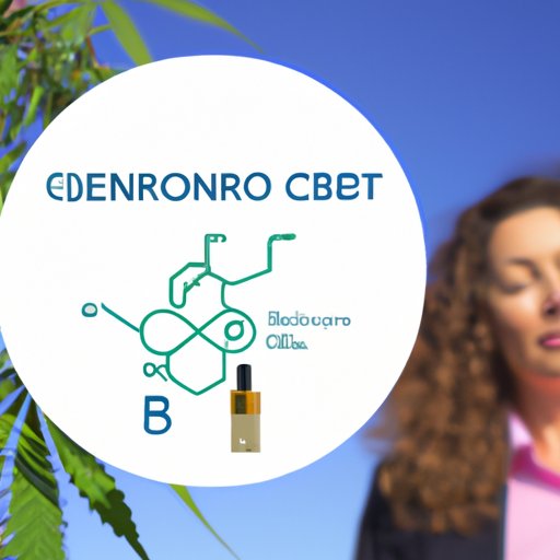 Does CBD Oil Increase Estrogen? A Comprehensive Guide for Women