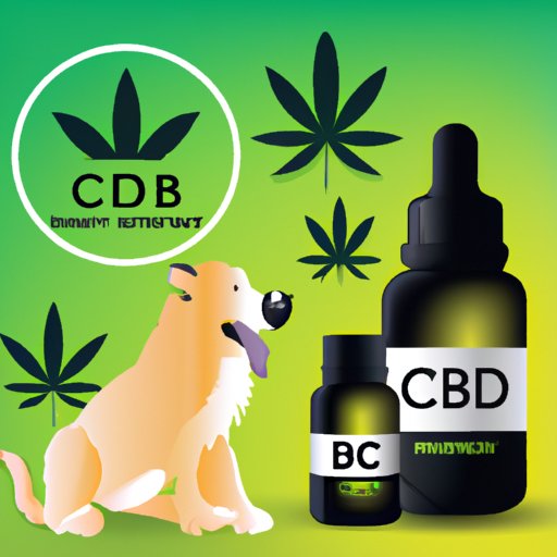 Does CBD Oil Work for Dogs? Separating Fact from Fiction