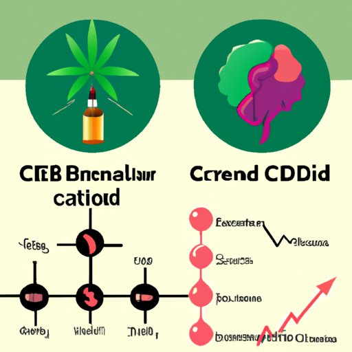Does CBD Really Help Depression and Anxiety? The Science, User Experiences, Stigma, Precautions, CBD vs. Traditional Treatments, and Types of CBD Products