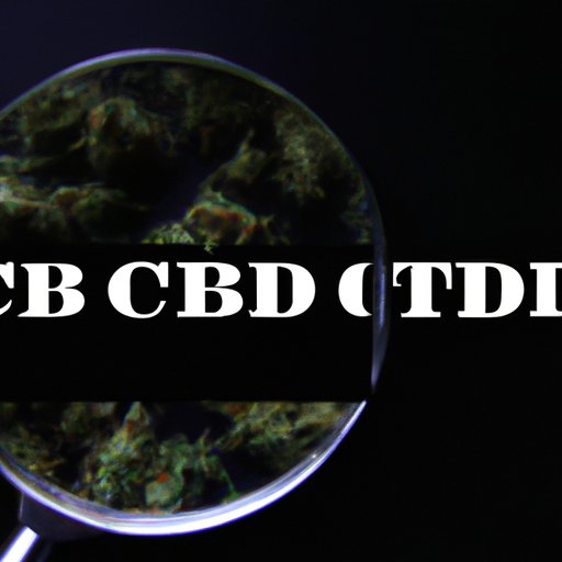 Does CBD Stay in Your System Like Weed? Exploring the Truth About CBD and Drug Testing