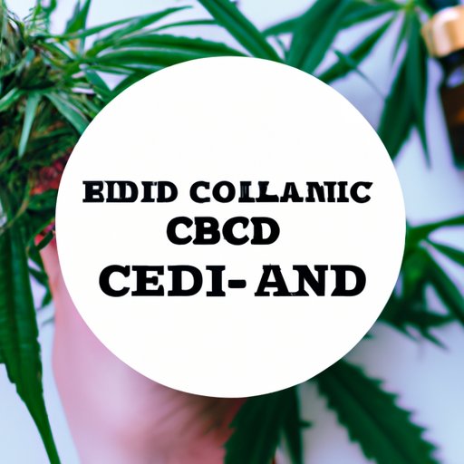 Does CBD without THC Work? Exploring Its Benefits and Risks