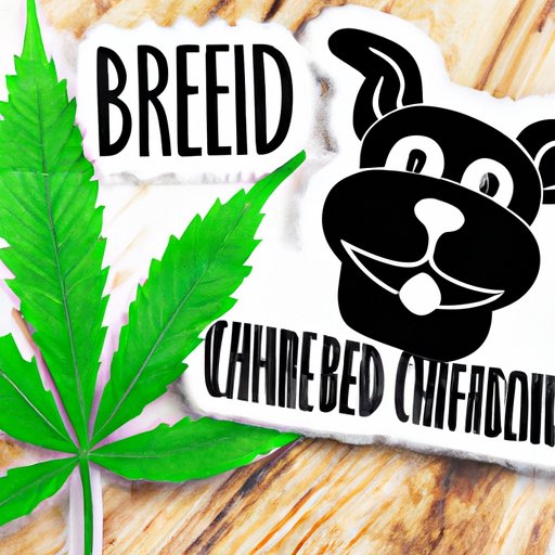Exploring the Benefits and Risks of CBD for Dogs: A Comprehensive Guide