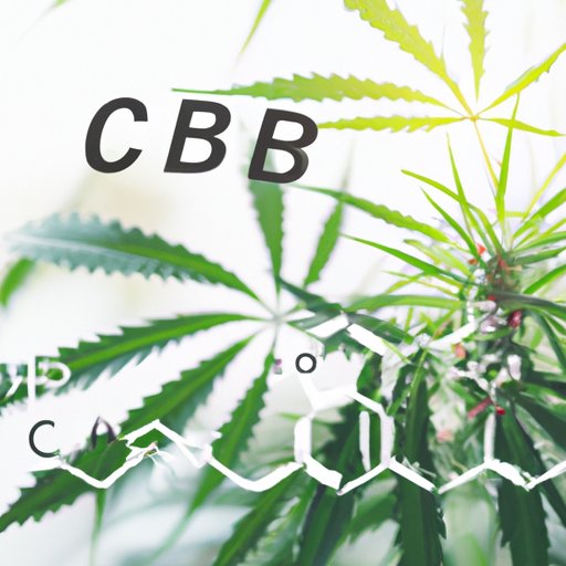 Does Hemp Extract Have CBD: Understanding the Differences