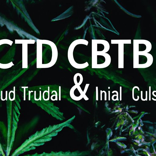 Does Just CBD Contain THC? The Truth Behind the Controversy